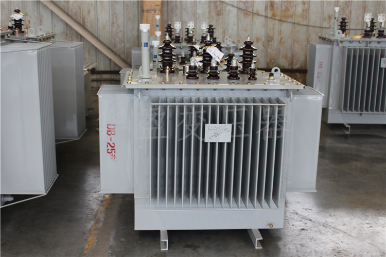 绥化S20-800kVA/10kV/0.4kV变压器